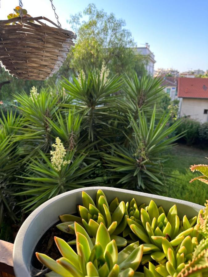 Location De Chambre Privee Dans Residence Prive, Jardins Et Parking Gratuit 1 Min To Tramway Et 9 Min De Centre-Ville, Accessibilite A Plusieurs Transports Nice Exteriör bild